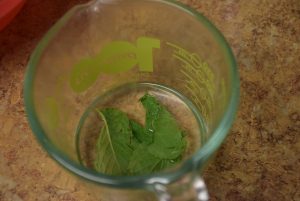 mint leaves in sugar water