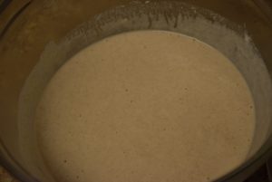 yeast water in bowl