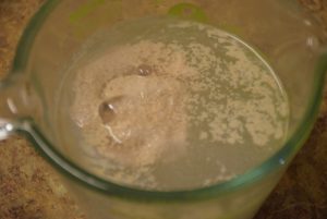 Yeast and sugar in water