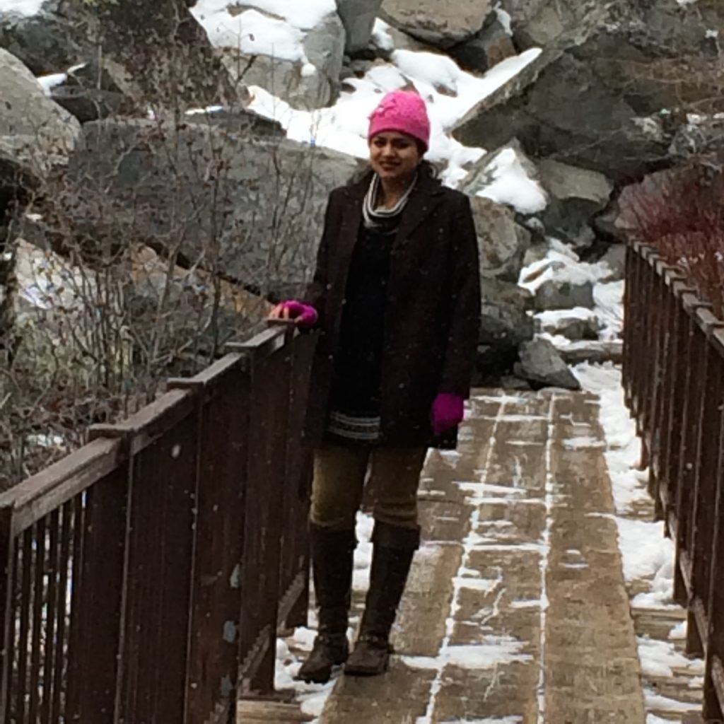 Snowfall @eagle Upper falls bridge