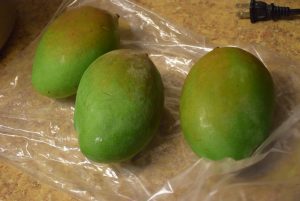 Mangoes