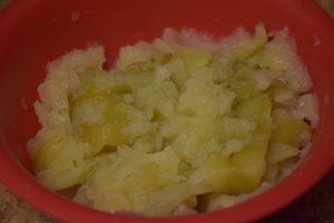 roughly mashed pulp
