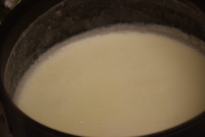 milk in a pan