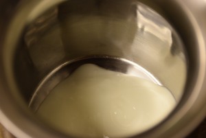 starter curd